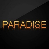 Paradise Trance - Digital Impulse Radio